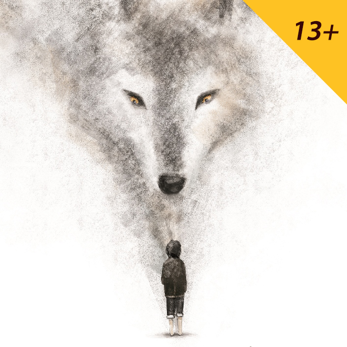 Книги за деца - Романи за млади | Возраст 12-13-14-15 години | Сказнувалка